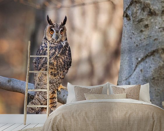 Aperçu de la chambre