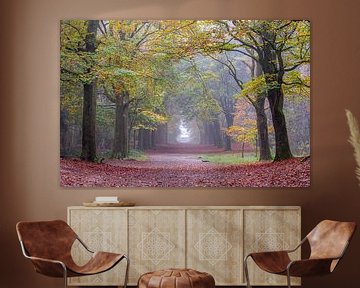 Herfstkleuren Boslaan Bergen op Zoom van Jan Poppe