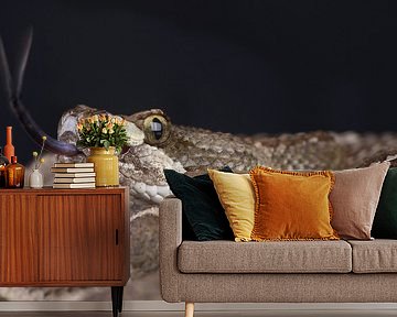 Prairieratelslang (Crotalus viridis)