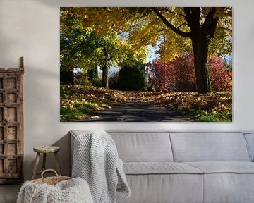 A trail in the park in autumn by Claude Laprise