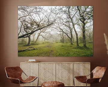 Misty morning - In the dunes - Meijendel - Moody by Wandeldingen