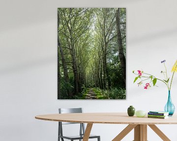 The road to nature by Evelien Plag
