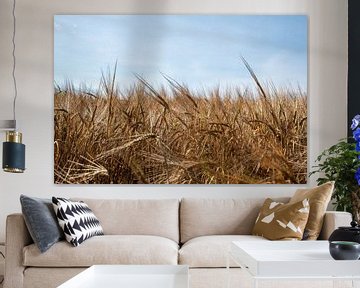 Grain by Evelien Plag