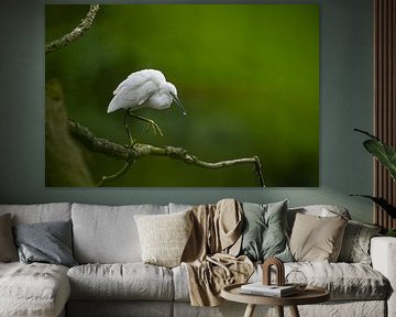 Weldoordachte pasjes