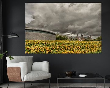 Sunflowers and the Rijksmuseum in Amsterdam