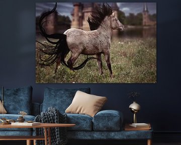 Fantasy paard sur PAM fotostudio