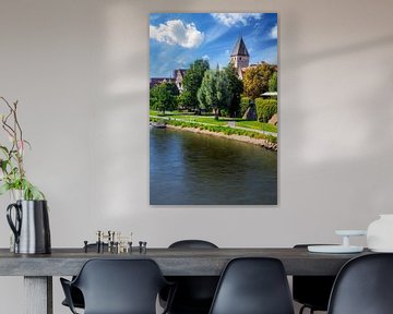 Uitzicht over de Donau naar de historische Metzgerturm in Ulm van ManfredFotos
