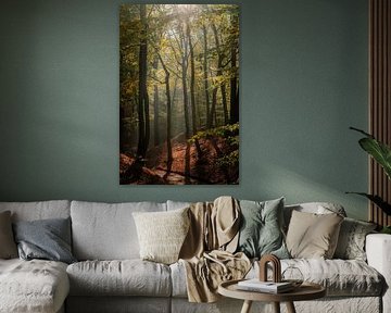 Atmosphärischer Wald von Marc Houter