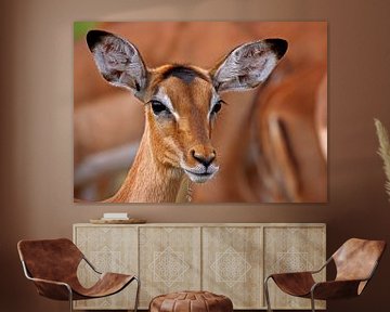 Impala - Africa wildlife van W. Woyke