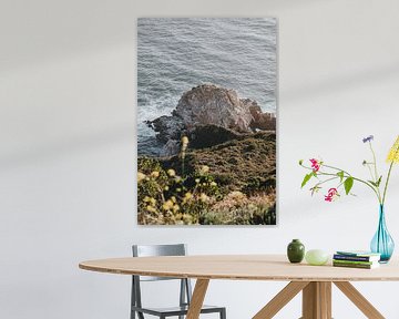 Coastal scene at the famous highway 1 by Elise van Gils