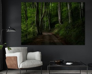 Spring forest in vibrant green by Raoul Baart