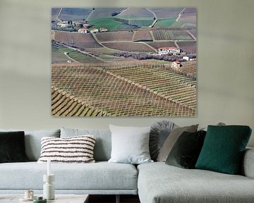 Langhe Rolling Vineyards im Vorfrühling