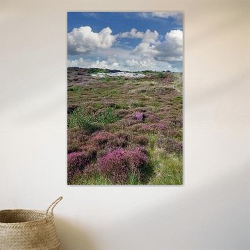 in den Dünen von Sankt Peter-Ording von Peter Eckert