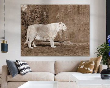 White lioness in sepia