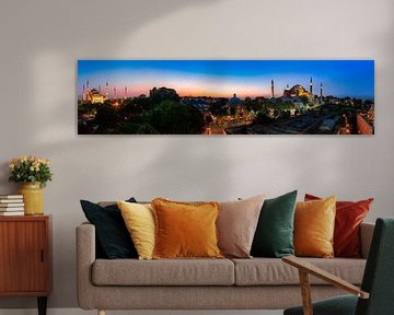 Istanbul-Panorama von Roy Poots