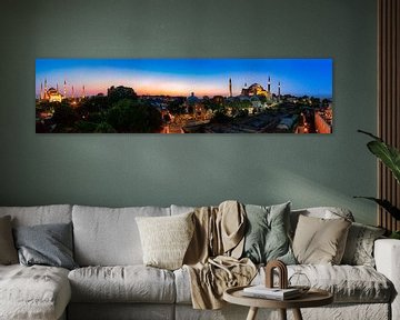 Istanbul panorama by Roy Poots