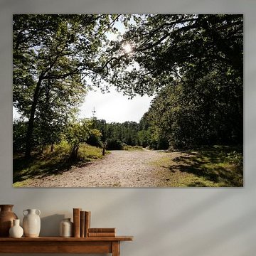 Natural beauty in Goois nature reserve Naarder Eng