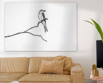 Minimalist Beauty Bird in Black and White by Femke Ketelaar