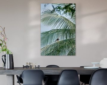 Tropisch Uitzicht Vogel op Palmblad van Femke Ketelaar