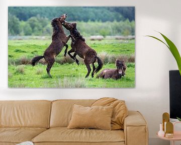 Horses