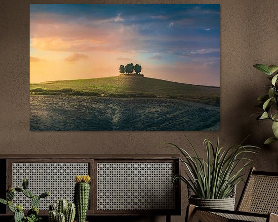 Aperçu de la chambre