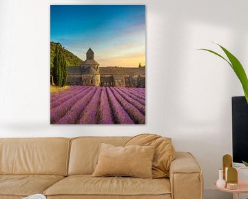 The Abbey of Senanque and lavender in bloom by Stefano Orazzini