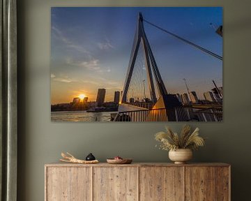 Erasmus bridge Rotterdam sur Brandon Lee Bouwman