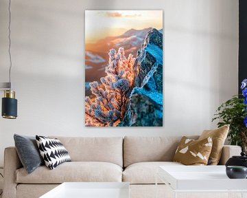Bevroren planten in het zonlicht van Poster Art Shop