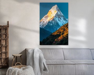 Besneeuwde top in het ochtendlicht van Poster Art Shop