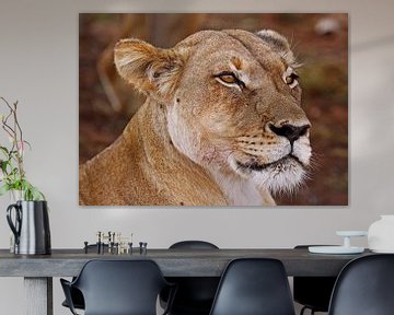 Lioness - Africa wildlife van W. Woyke