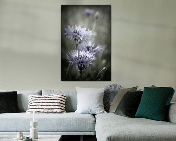 In the wild 2 by de buurtfotograaf Leontien