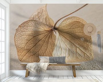Natural peace: hydrangea leaves on wood by Marjolijn van den Berg