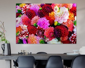 Mix van kleurrijke Dahlia bloemen