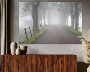 Dijk in de Biesbosch in de mist