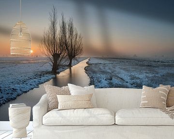 Knotwilgen bij een winterse zonsopkomst