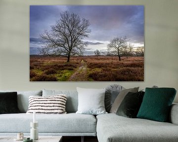 Gasterse Duinen im Herbst kurz nach Sonnenaufgang