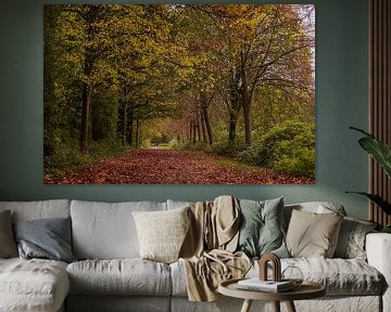 Wandelen door de herfstkleuren. van Robby's fotografie