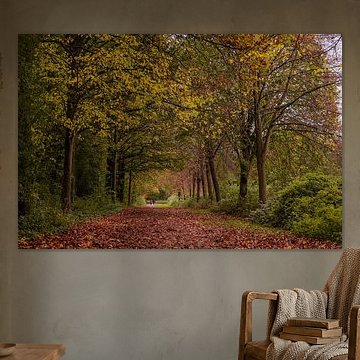 Spaziergang durch die Herbstfarben.