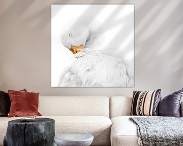 Rust in Witte Elegantie Gans van Femke Ketelaar