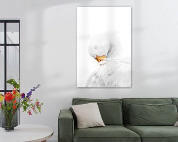 Tederheid in Witte Stilte Gans van Femke Ketelaar