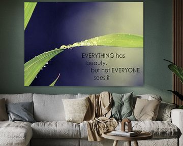 Everything has beauty