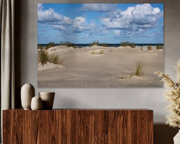 Duinlandschap aan de kust van Ameland van Anouschka Hendriks