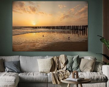 strand zoutelande in de avondzon van anne droogsma