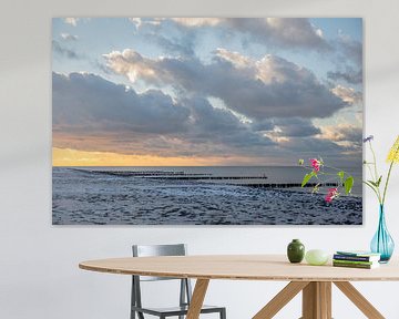 strand zeeland bij westkapelle van anne droogsma