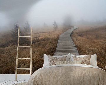 De Belgische Hoge Venen in de mist