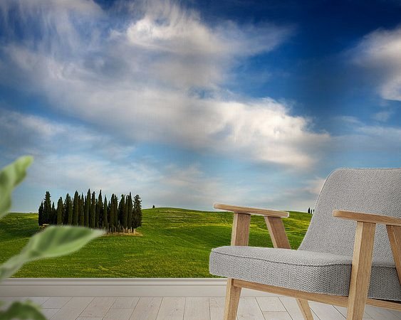 Aperçu de la chambre