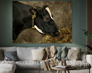 Koe, portret van Ina Hölzel