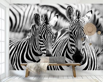 Gestreifte Harmonie in der Savanne von Dante van Rijn