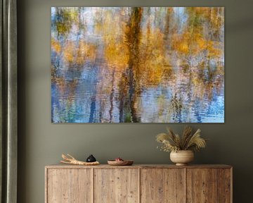 Reflectie - abstracte foto van herfstbomen in het water van Lisette Geel