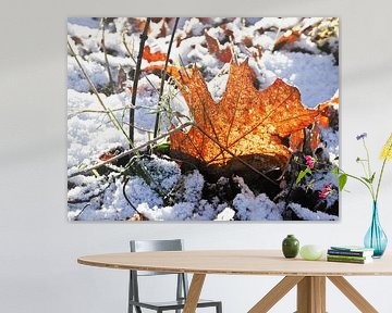 When Autumn meets Winter